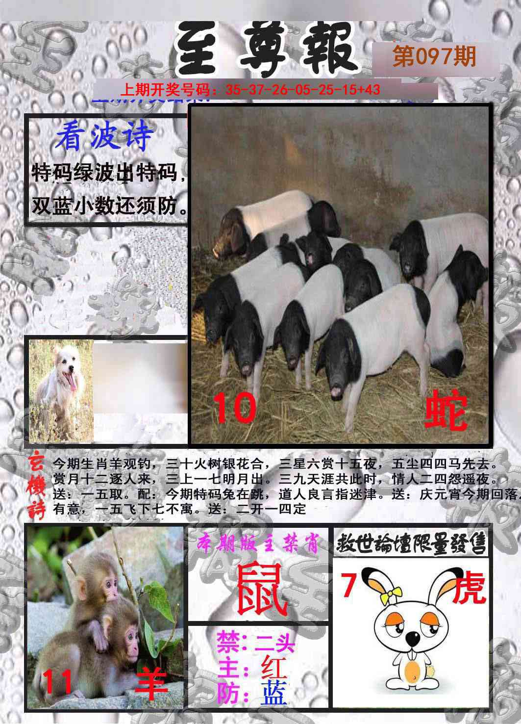 097期至尊报[图]